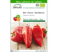 SAFLAX - BIO - Poivron - Red Marconi - 20 graines - Avec substrat - Capsicum