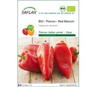 SAFLAX - BIO - Poivron - Red Marconi - 20 graines - Capsicum