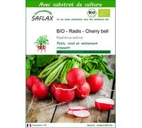SAFLAX - BIO - Radis - Cherry bell - 100 graines - Avec substrat - Raphanus