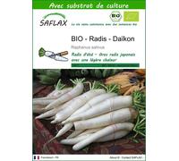 SAFLAX - BIO - Radis - Daïkon - 100 graines - Avec substrat - Raphanus