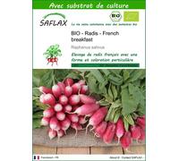 SAFLAX - BIO - Radis - French breakfast - 150 graines - Avec substrat - Raphanus