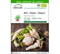 SAFLAX - BIO - Radis - Glaçon - 100 graines - Avec substrat - Raphanus