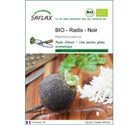SAFLAX - BIO - Radis - Noir - 100 graines - Raphanus