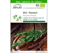 SAFLAX - BIO - Romarin - 40 graines - Avec substrat - Rosmarinus