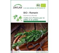 SAFLAX - BIO - Romarin - 40 graines - Rosmarinus