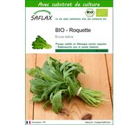 SAFLAX - BIO - Roquette - 3000 graines - Avec substrat - Eruca