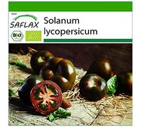 SAFLAX - BIO - Tomate - Cerise noire - 10 graines - Solanum lycopersicum