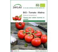 SAFLAX - BIO - Tomate - Matina - 10 graines - Solanum