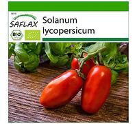 SAFLAX - BIO - Tomate - San Marzano - 15 graines - Solanum lycopersicum