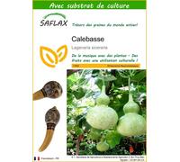 SAFLAX - Calebasse - 15 graines - Avec substrat - Lagenaria