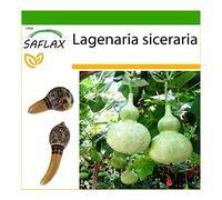 SAFLAX - Calebasse - 15 graines - Avec substrat - Lagenaria siceraria