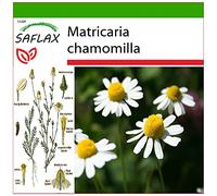 SAFLAX - Camomille sauvage - 300 graines - Avec substrat - Matricaria chamomilla