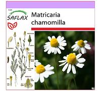 SAFLAX - Camomille sauvage - 300 graines - Matricaria chamomilla