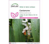 Saflax Cardamome - 1 sachet