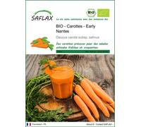 SAFLAX -- Carottes - Early Nantes - 1500 graines - Daucus