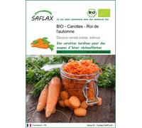 SAFLAX -- Carottes - Roi de l'automne - 1000 graines - Daucus