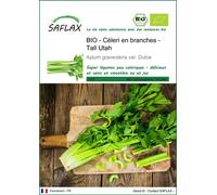 SAFLAX -- Céleri en branches - Tall Utah - 500 graines - Apium