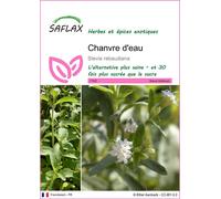 SAFLAX - Chanvre d'eau - 100 graines - Stevia
