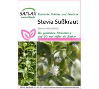 Saflax Chanvre d'Eau - Stévia - 1 sachet