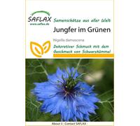 Saflax Cheveux-de-Vénus - 1 sachet