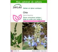 SAFLAX - Chia - 500 graines - Avec substrat - Salvia