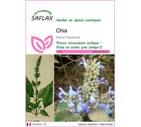 SAFLAX - Chia - 500 graines - Salvia