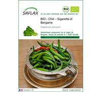 SAFLAX - Chili – Sigaretta di Bergame - 10 graines - Capsicum