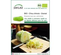 SAFLAX -- Chou chinois - Granat - 40 graines - Brassica