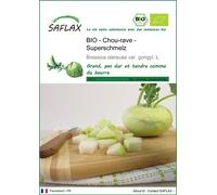 SAFLAX -- Chou-rave - Superschmelz - 20 graines - Brassica