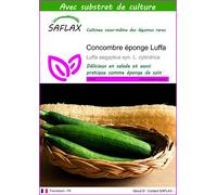 SAFLAX - Concombre éponge Luffa - 10 graines - Avec substrat - Luffa