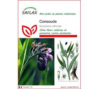 SAFLAX - Consoude - 15 graines - Symphytum