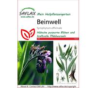 Saflax Consoude Officinale - 1 sachet