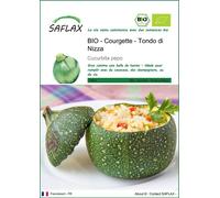 SAFLAX -- Courgette - Tondo di Nizza - 5 graines - Cucurbita