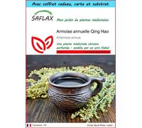 SAFLAX Ensemble-cadeau - Armoise annuelle Qing Hao - 250 graines - Artemisia