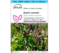 SAFLAX Ensemble-cadeau - Basilic cannelle - 200 graines - Ocimum