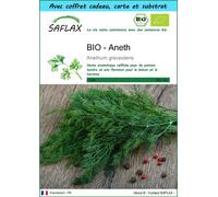 SAFLAX Ensemble-cadeau - BIO - Aneth - 700 graines - Anethum