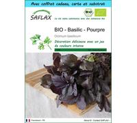 SAFLAX Ensemble-cadeau - BIO - Basilic - Pourpre - 400 graines - Ocimum