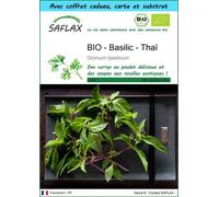 SAFLAX Ensemble-cadeau - BIO - Basilic - Thaï - 250 graines - Ocimum