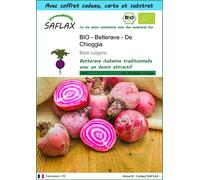 SAFLAX Ensemble-cadeau - BIO - Betterave - De Chioggia - 70 graines - Beta