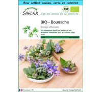 SAFLAX Ensemble-cadeau - BIO - Bourrache - 40 graines - Borago