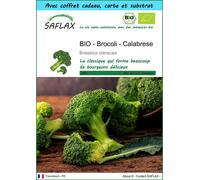 SAFLAX Ensemble-cadeau - BIO - Brocoli - Calabrese - 100 graines - Brassica