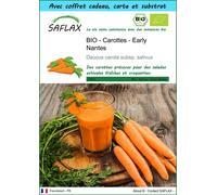 SAFLAX Ensemble-cadeau - BIO - Carottes - Early Nantes - 1500 graines - Daucus