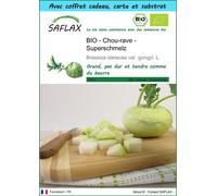 SAFLAX Ensemble-cadeau - BIO - Chou-rave - Superschmelz - 20 graines - Brassica