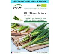 SAFLAX Ensemble-cadeau - BIO - Ciboule - Ishikura - 150 graines - Allium