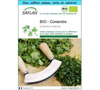 SAFLAX Ensemble-cadeau - BIO - Coriandre - 150 graines - Coriandrum