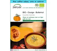 SAFLAX Ensemble-cadeau - BIO - Courge - Butternut - 6 graines - Cucurbita