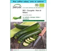 SAFLAX Ensemble-cadeau - BIO - Courgette - Nero di Milano - 6 graines - Cucurbita