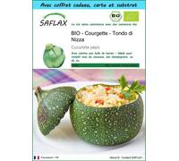 SAFLAX Ensemble-cadeau - BIO - Courgette - Tondo di Nizza - 5 graines - Cucurbita