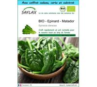 SAFLAX Ensemble-cadeau - BIO - Epinard - Matador - 300 graines - Spinacia