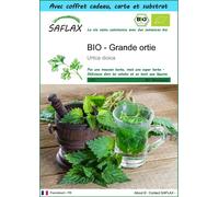 SAFLAX Ensemble-cadeau - BIO - Grande ortie - 2000 graines - Urtica